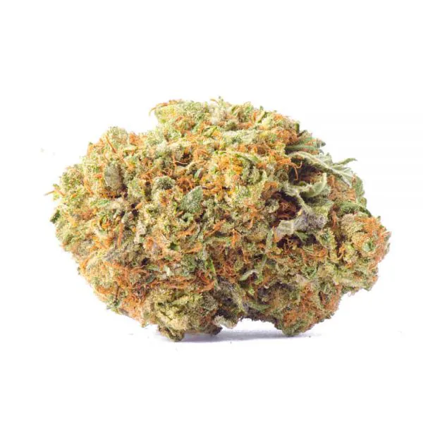 Funky Charmz – Hybrid – AAA