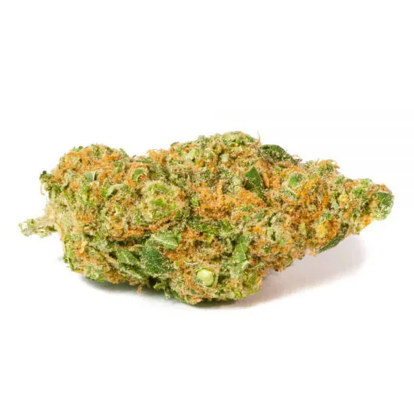 Alien Grenades Hybrid AAAA+