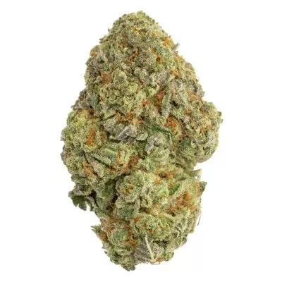 Purple Afghani Indica AAA