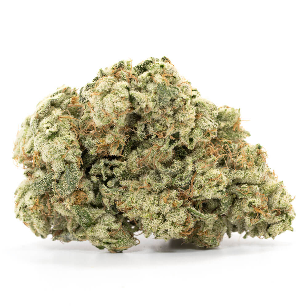 Concord Cream Indica AAA+