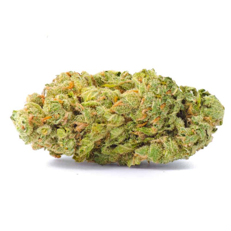 Green Supreme Sativa AAAA