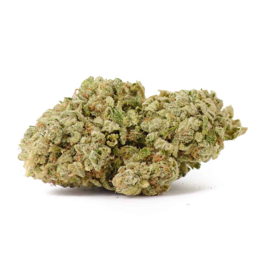 Jean Guy Sativa AAA+