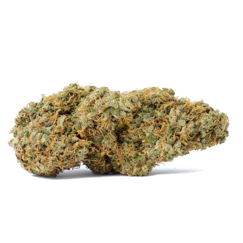 Blackberry Octane Indica AAAA+