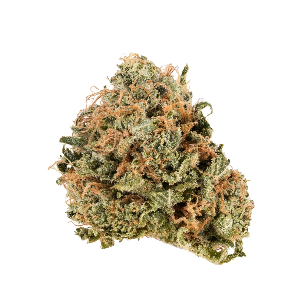Laughing Buddha - Sativa - AAA