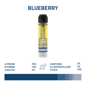 Boost THC Vape Cartridge – Blueberry – 1g - Image 2