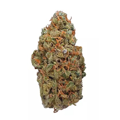 Red Congo Bulk Special Sativa AAA