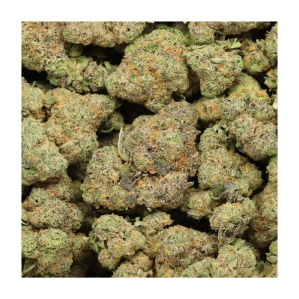 critical mass bag photo