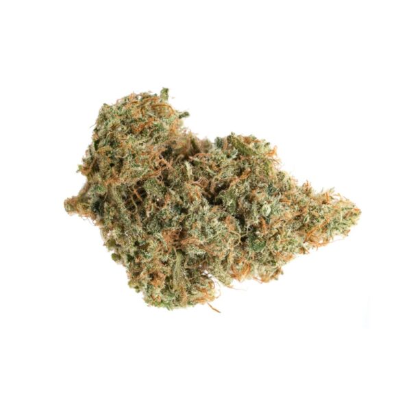 critical mass bud