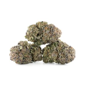 Purple Kush buds