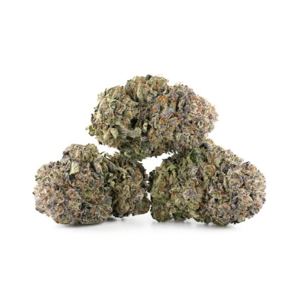 Purple Kush buds