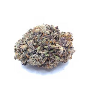 Purple haze bud