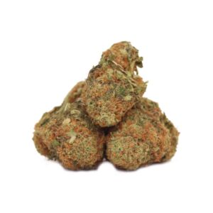 Motorbreath buds