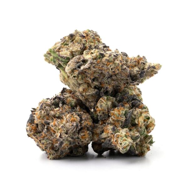 Jealousy strain buds