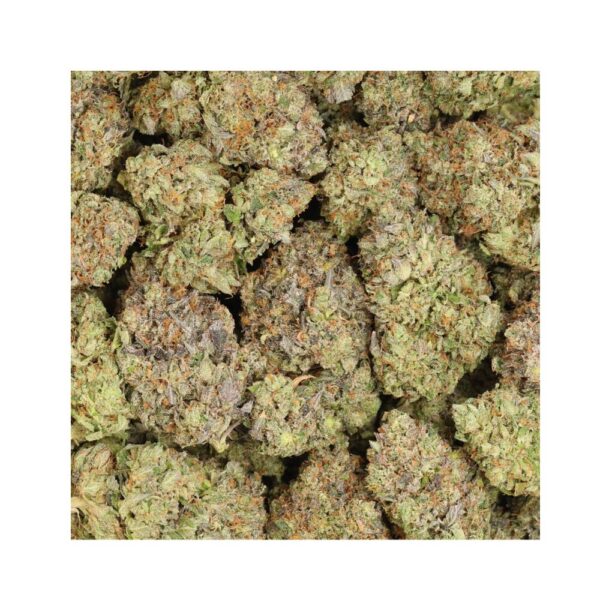 Astro Pink - Image 2
