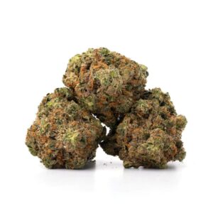 Astro pink buds