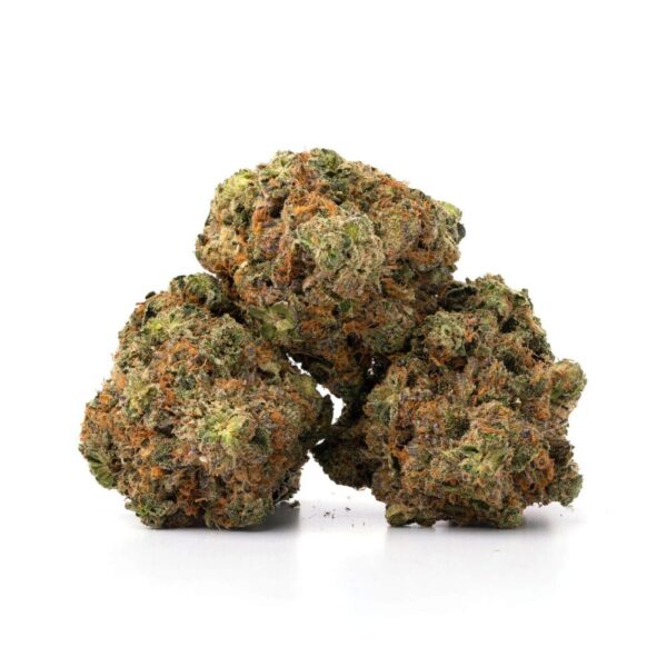 Astro pink buds