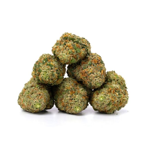 Mimosa strain buds