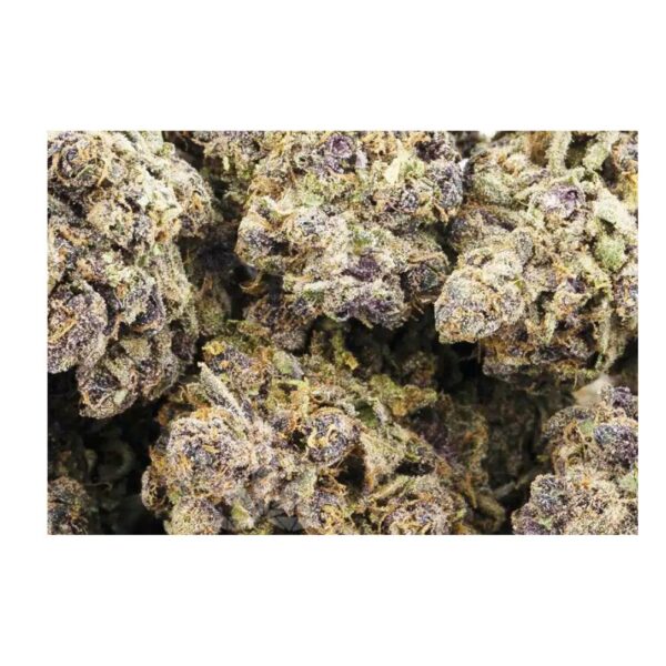 rainbow pie strain