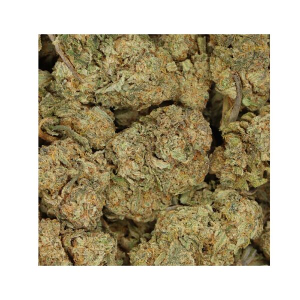love potion #1