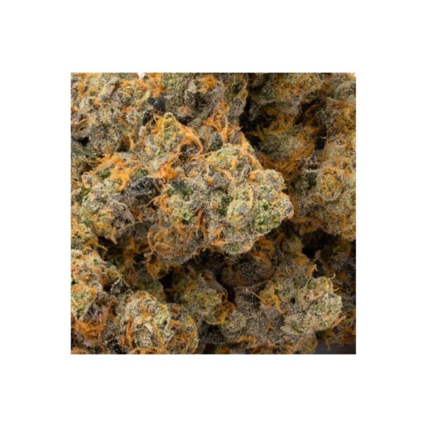 wappa strain