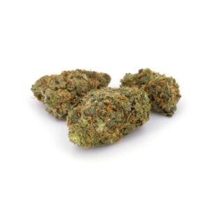 sensi star