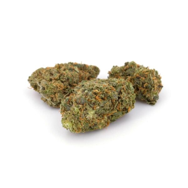 sensi star