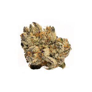 bc purple kush