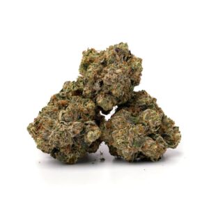 g13 strain