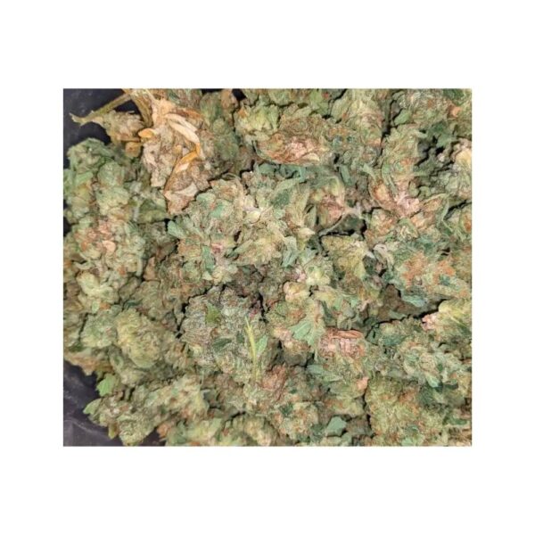 g13 strain