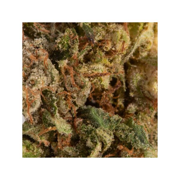 Bubba Kush - Image 2