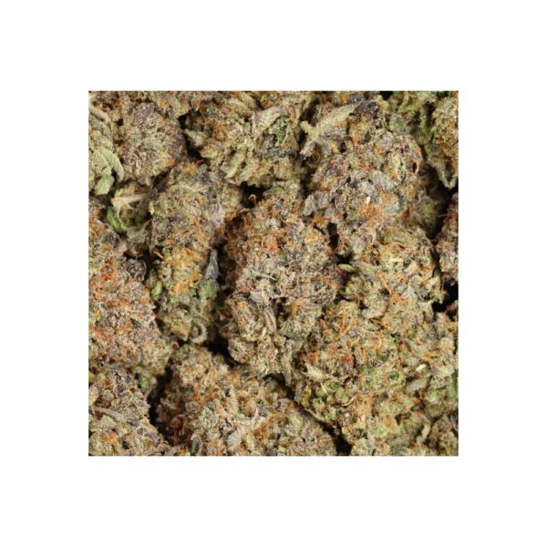 tuna kush bag photo
