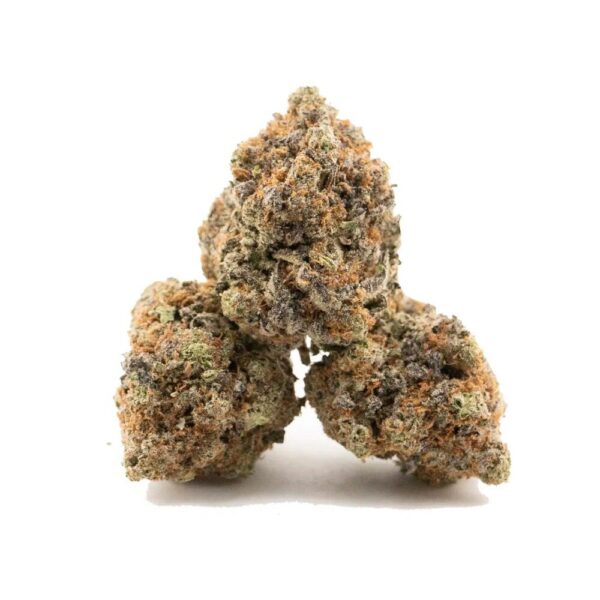 tropical cookies buds
