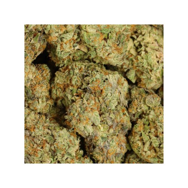Trainwreck Willie - Image 2