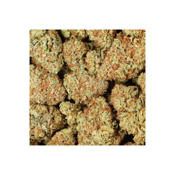 Yoda OG - Image 2