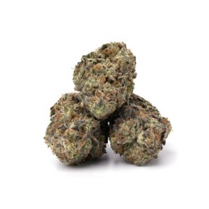 pink champagne buds