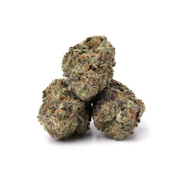 pink champagne buds