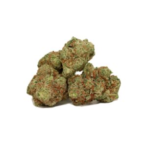 og shark buds