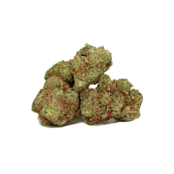 og shark buds