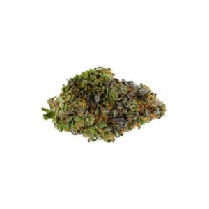 master tuna bud