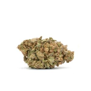 Mac 10 bud