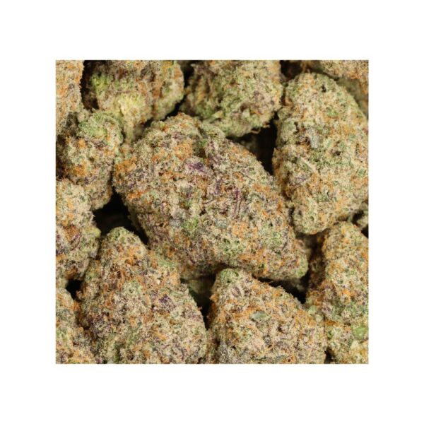 Mac 1o bag photo
