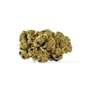 kush cookies bud