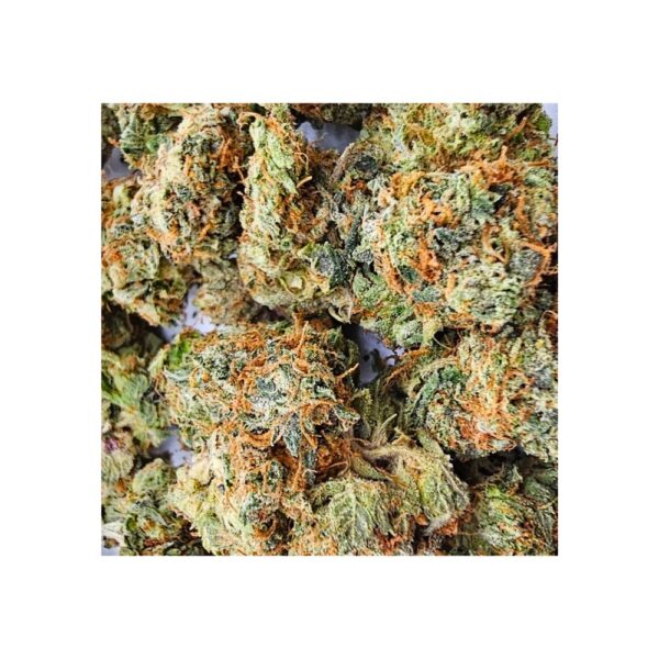 kush cookies bag photo