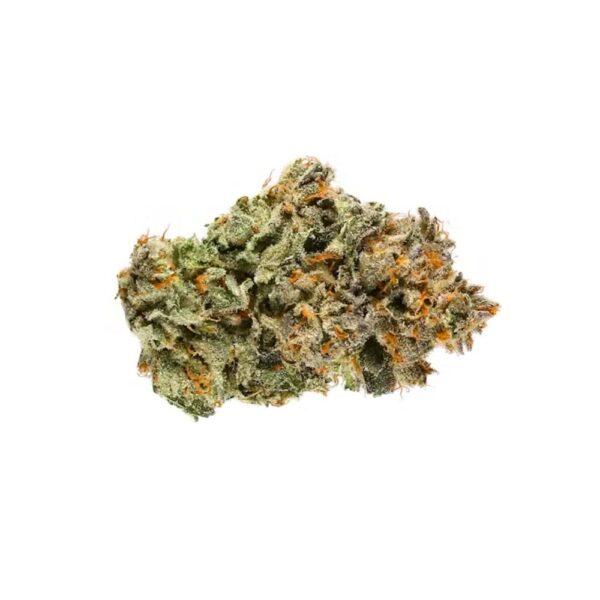 grape stomper bud