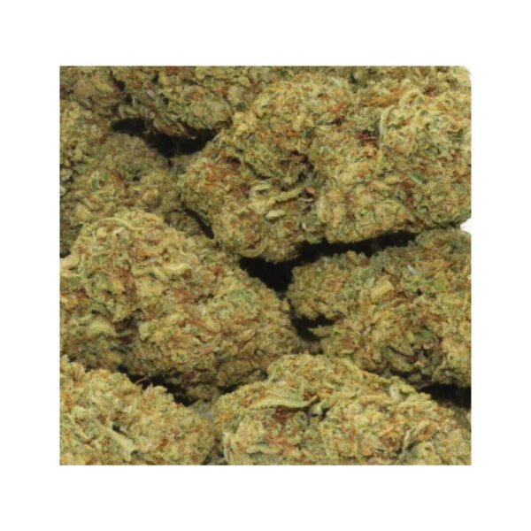 gorilla breath bag photo