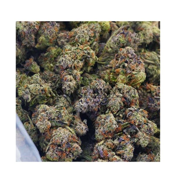 dark star bag photo