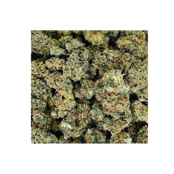 walker kush bag photo