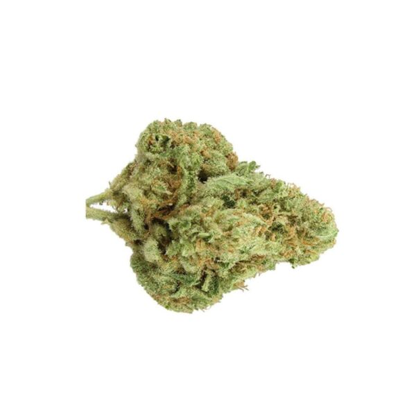 walker kush bud