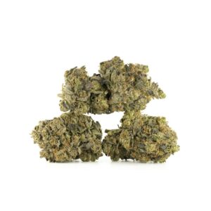 el chapo buds