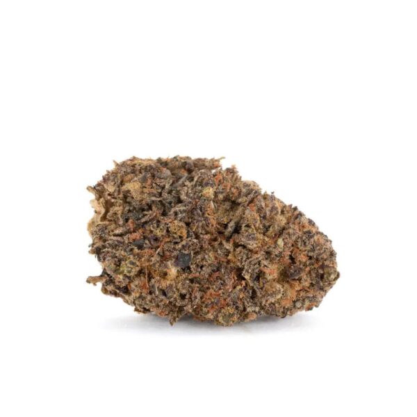 berry cream puff bud